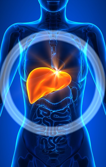 Photo drsuciu_supplements_criteria_liver_health