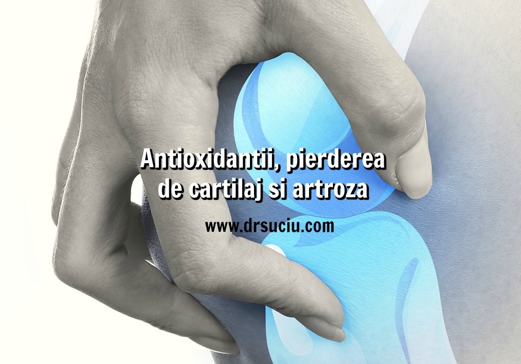 Photo drsuciu_antioxidantii_pierderea_de_cartilaj_artroza