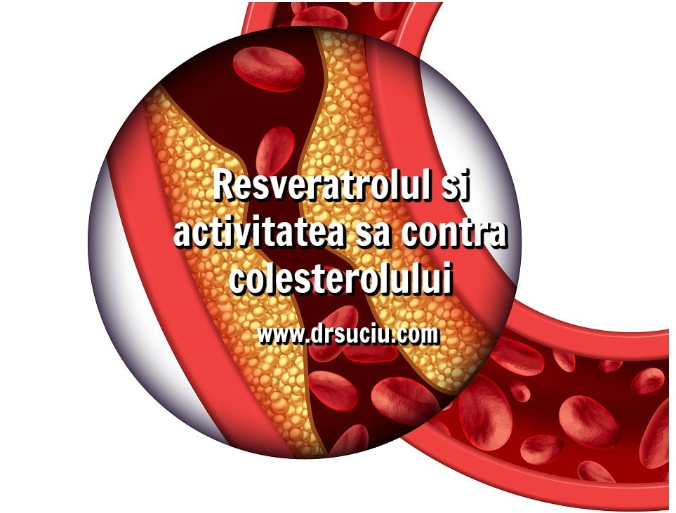 Photo drsuciu_efecte_resveratrol_hipercolesterolemie